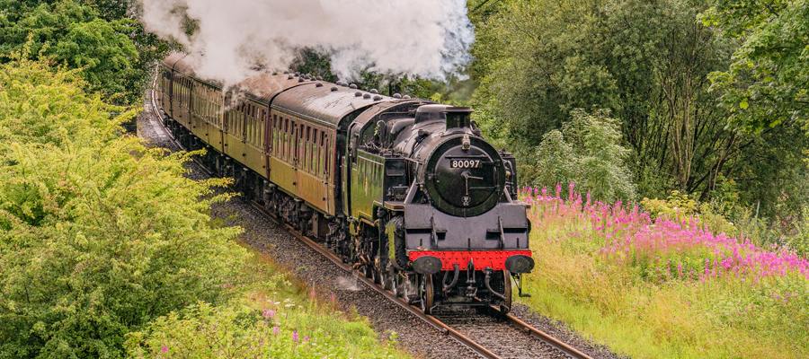 Autumn Steam Gala