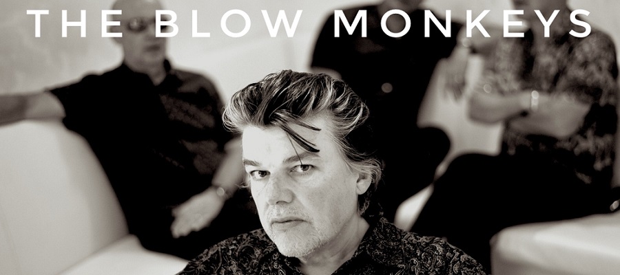 Show Details The Blow Monkeys