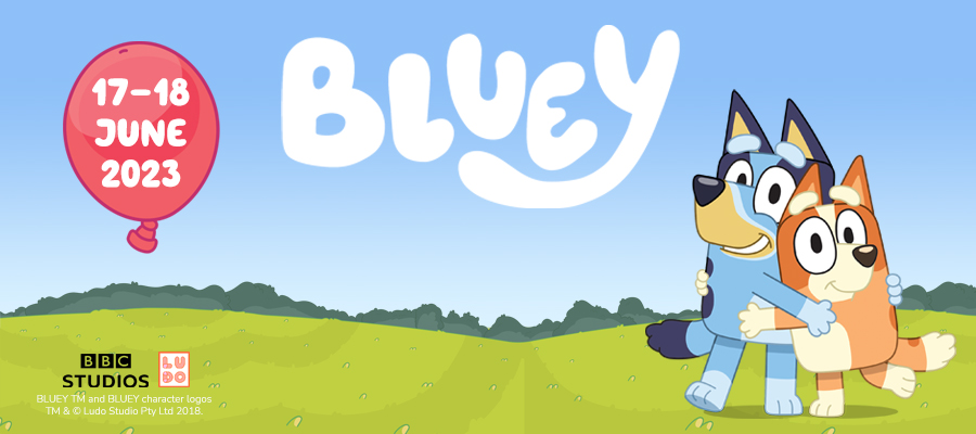 Bluey - Bingo (Grand format - Broché 2023), de